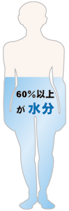 60%以上が水分